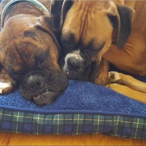 Meet your Posher, Luke